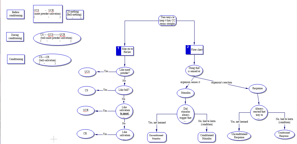 Classical Conditioning Terminology
