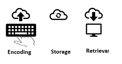 memory encoding storage retrieval